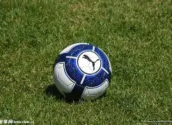 点燃冰雪激,推动全民健,身新热潮,8868体育平台,8868体育官方网站,8868体育登录入口,8868体育app下载