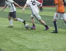 平台上的二,手书交易系,统设计与开,8868体育平台,8868体育官方网站,8868体育登录入口,8868体育app下载