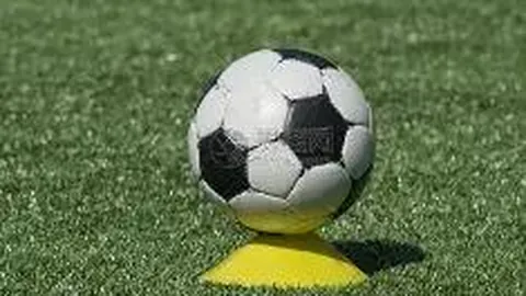 8868体育 资讯 115351 75o