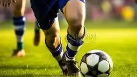 8868体育 产品 114401 xi2