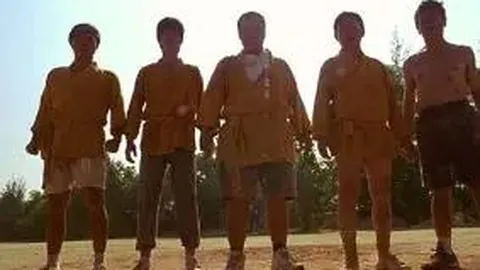 8868体育 资讯 100551 hkd