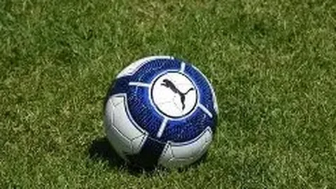 8868体育 资讯 095147 m6x